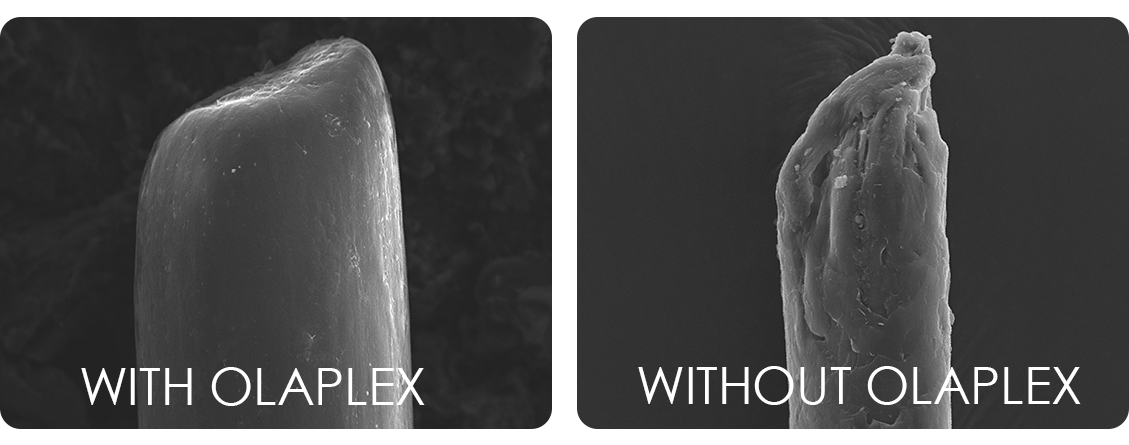 olaplex-nahaufnahme olaplex-nahaufnahme